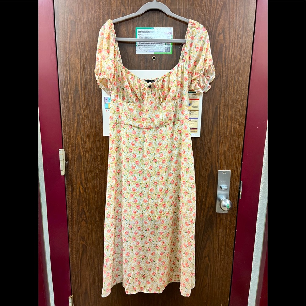 Francesca’s Trixxi Mid Length Floral Dress